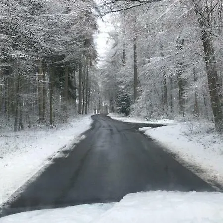 Am Waldeck Gasthof Hohentengen